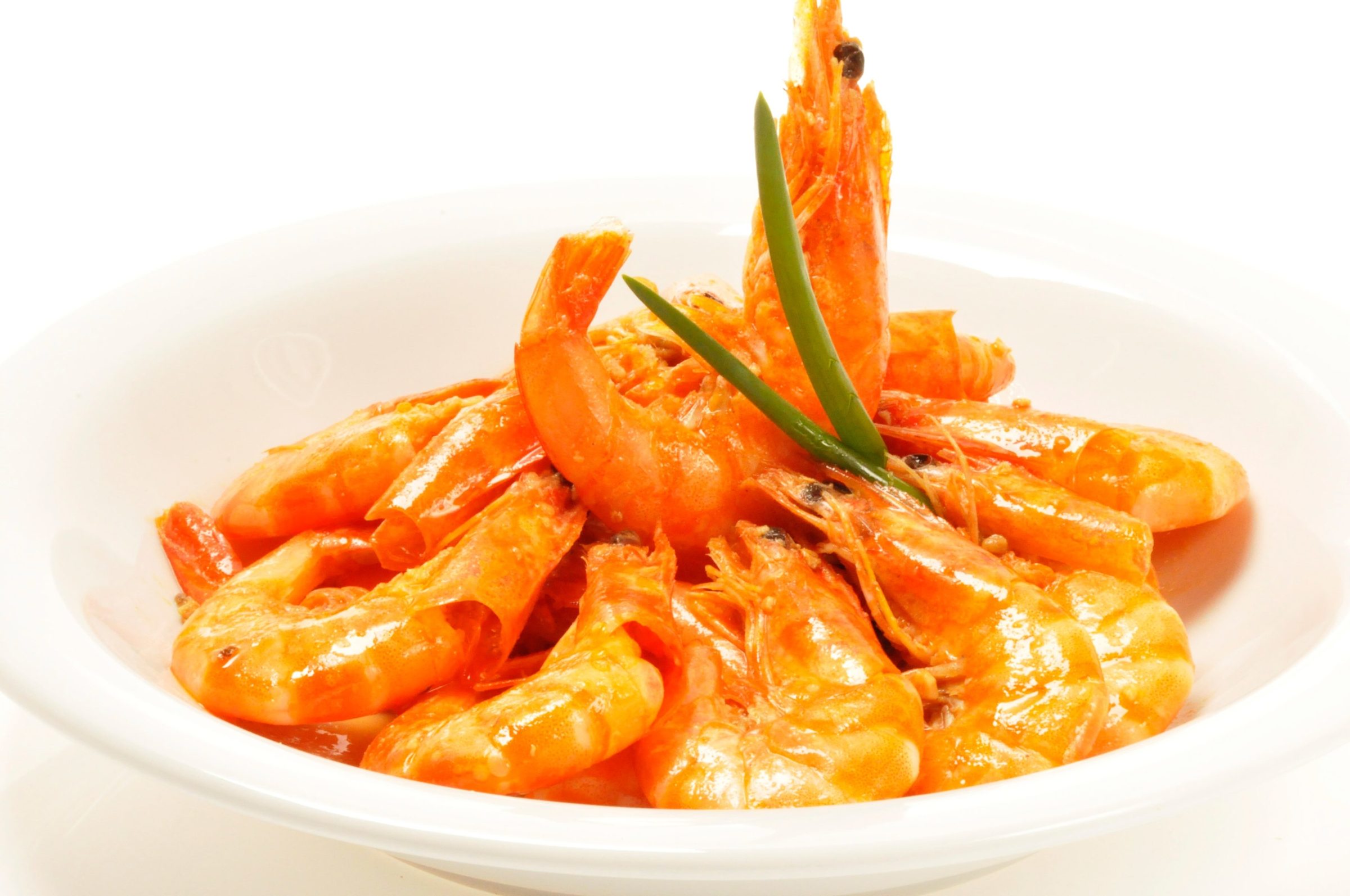 Gastronomia Gastronomia