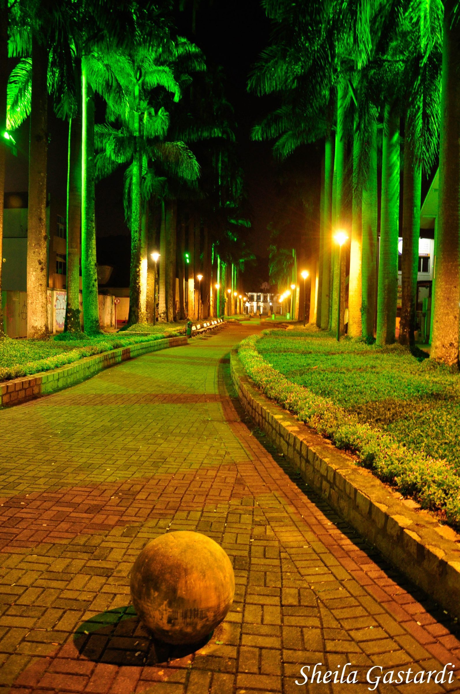 Rua das Palmeiras em Joinville-SC. Rua das Palmeiras em Joinville-SC.